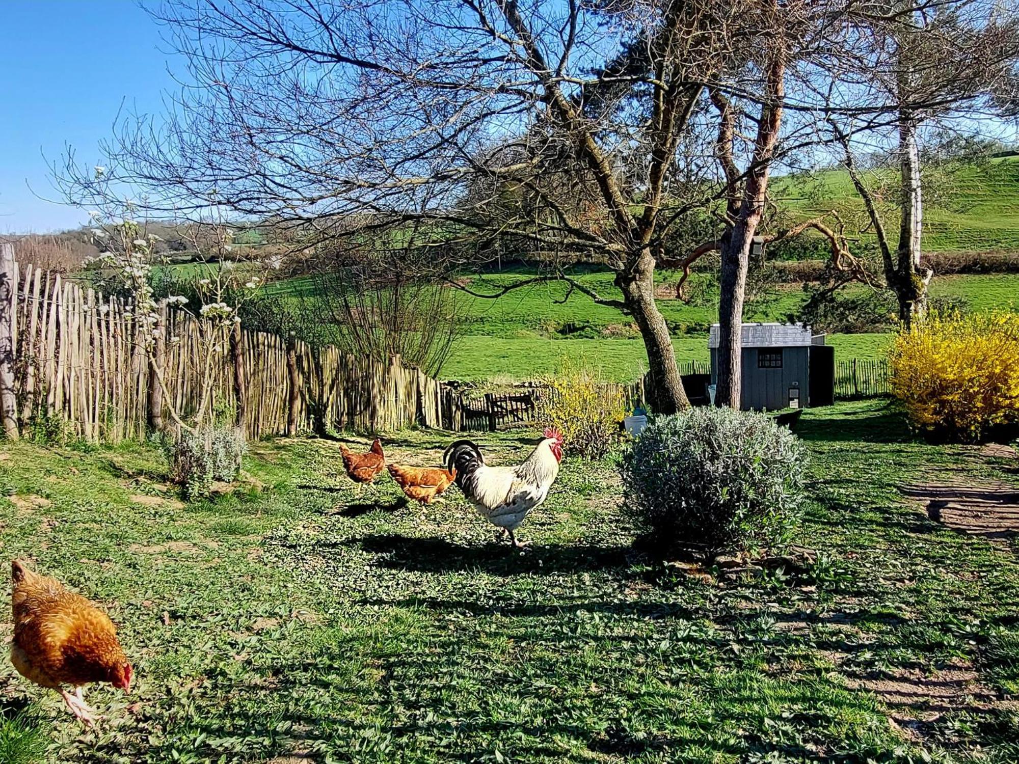 Maison Du Grand Moulin Saint-Aubin-en-Charollais Exteriér fotografie