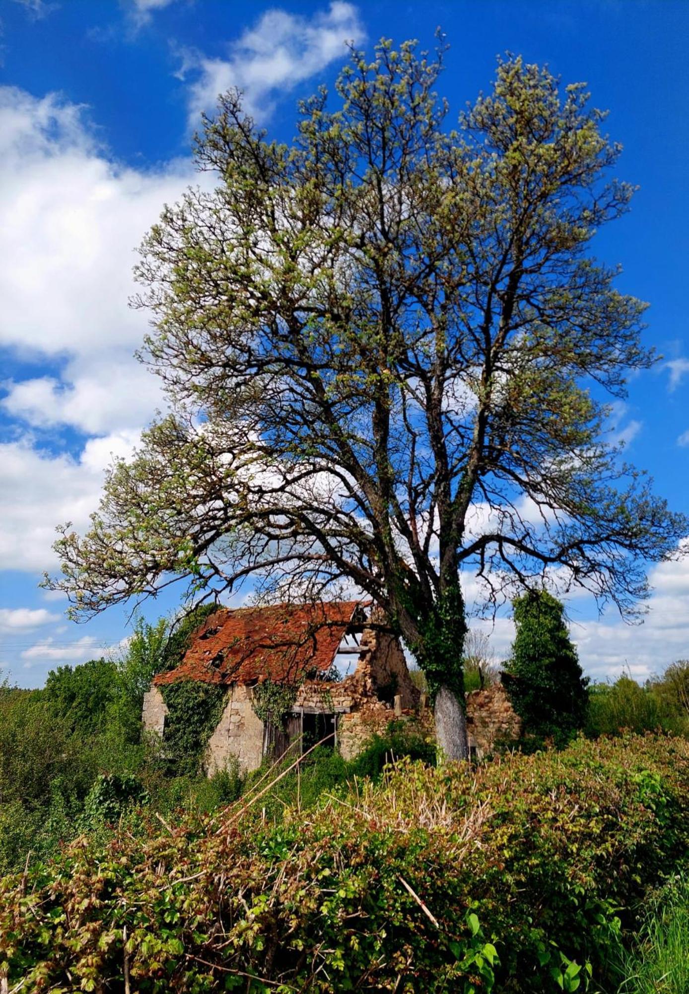 Maison Du Grand Moulin Saint-Aubin-en-Charollais Exteriér fotografie